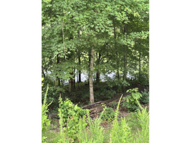 Waterfront Property - 3 Dockable Lots In Patriot Shores - photo 3