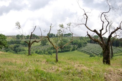 Exclusive 182-hectare estate near Assisi, featuring Palazzo - photo 11