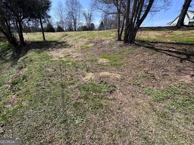 Beautiful 1-acre residential building lot located in the - photo 12