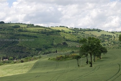 Exclusive 182-hectare estate near Assisi, featuring Palazzo - photo 13