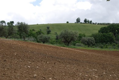 Exclusive 182-hectare estate near Assisi, featuring Palazzo - photo 17