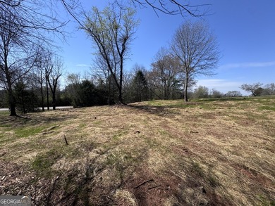 Beautiful 1-acre residential building lot located in the - photo 18