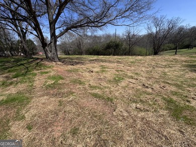 Beautiful 1-acre residential building lot located in the - photo 19