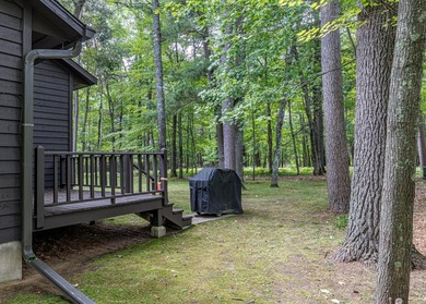 Extensively renovated 3-bedroom, 3-bathroom condo in Minocqua - photo 19