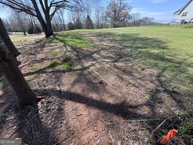 Beautiful 1-acre residential building lot located in the - photo 20