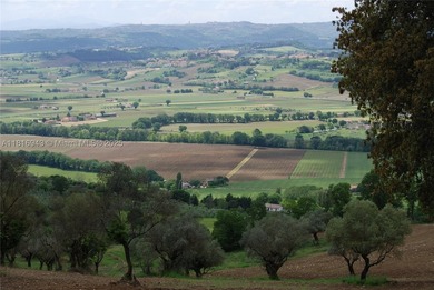 Exclusive 182-hectare estate near Assisi, featuring Palazzo - photo 21