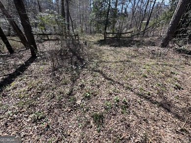 Beautiful 1-acre residential building lot located in the - photo 23