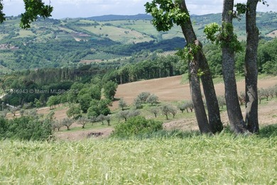 Exclusive 182-hectare estate near Assisi, featuring Palazzo - photo 23