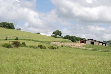 Exclusive 182-hectare estate near Assisi, featuring Palazzo - photo 24
