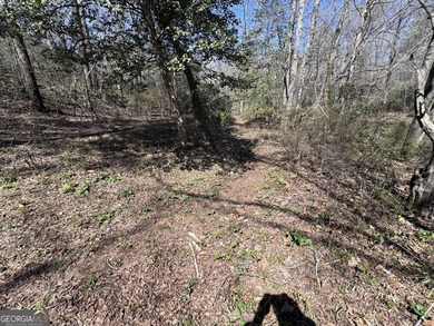 Beautiful 1-acre residential building lot located in the - photo 25