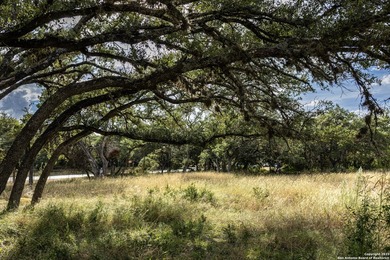 Updated home on 8.29 acres near Medina Lake with no livestock - photo 31