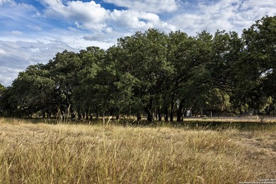 Updated home on 8.29 acres near Medina Lake with no livestock - photo 32