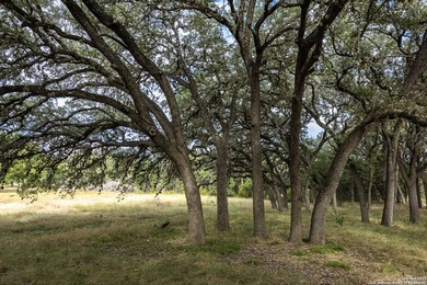 Updated home on 8.29 acres near Medina Lake with no livestock - photo 33