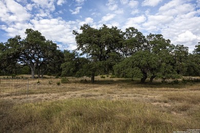 Updated home on 8.29 acres near Medina Lake with no livestock - photo 35