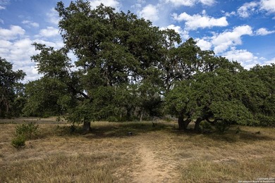 Updated home on 8.29 acres near Medina Lake with no livestock - photo 36