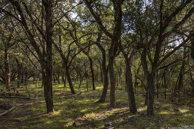 Updated home on 8.29 acres near Medina Lake with no livestock - photo 38