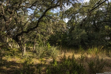 Updated home on 8.29 acres near Medina Lake with no livestock - photo 39