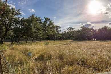 Updated home on 8.29 acres near Medina Lake with no livestock - photo 41