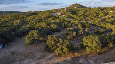 Updated home on 8.29 acres near Medina Lake with no livestock - photo 43