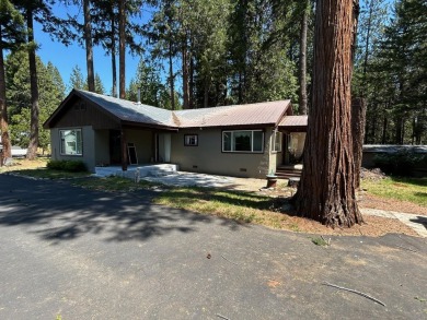 Lake Home For Sale in Trinity Center, California