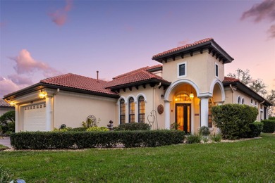 (private lake, pond, coastal) Home For Sale in Howey IN The Hills Florida