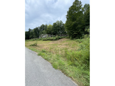 Waterfront Property - 3 Dockable Lots In Patriot Shores - photo 8