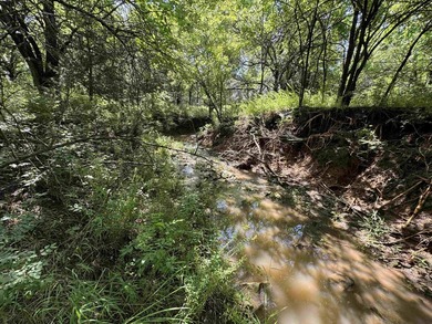 This 40.4 acre tract sits in a prime outdoor recreational - photo 2