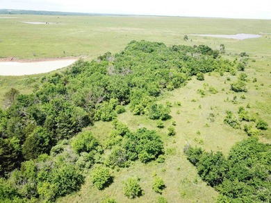 This 40.4 acre tract sits in a prime outdoor recreational - photo 3