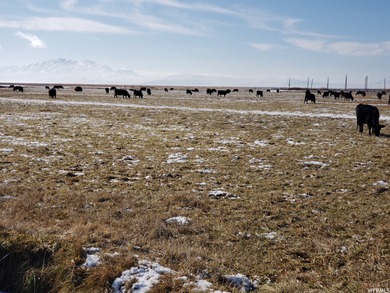 The state of Utah granted 700 Acres of Grazing Rights. Total - photo 13