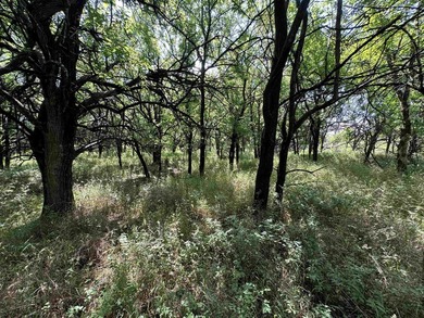 This 40.4 acre tract sits in a prime outdoor recreational - photo 4
