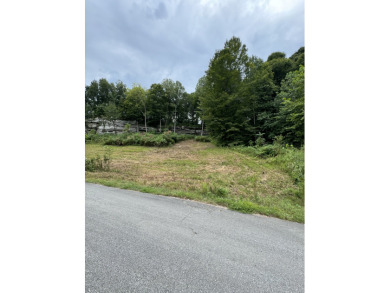 Waterfront Property - 3 Dockable Lots In Patriot Shores - photo 7