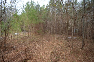 Unrestricted land near Lake Hartwell - Lake Lot For Sale in Anderson, South Carolina