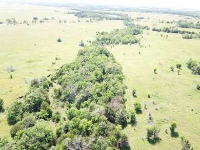 This 40.4 acre tract sits in a prime outdoor recreational - photo 7