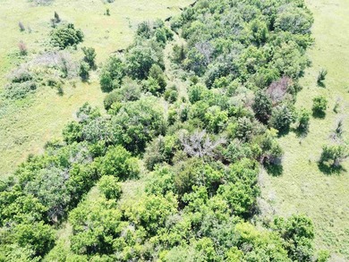This 40.4 acre tract sits in a prime outdoor recreational - photo 8