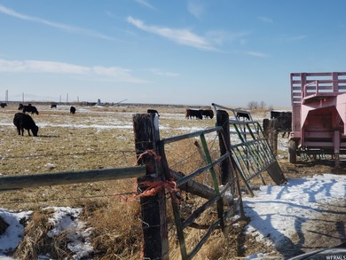 The state of Utah granted 700 Acres of Grazing Rights. Total - photo 18