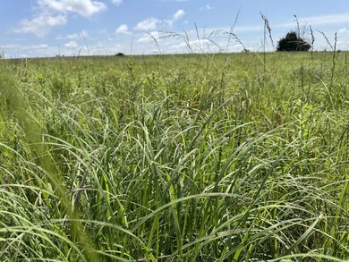 This 40.4 acre tract sits in a prime outdoor recreational - photo 9