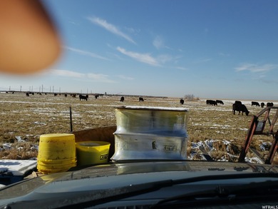 The state of Utah granted 700 Acres of Grazing Rights. Total - photo 20