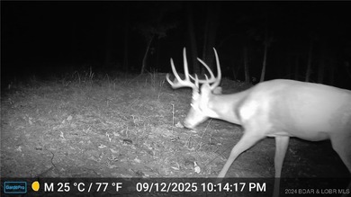 Lake of the Ozarks Acreage For Sale in Stover Missouri