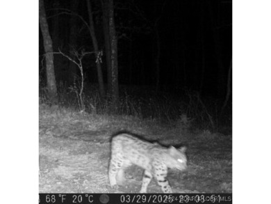 10+/- Acres waiting for your hunting or camping adventures! This - photo 2