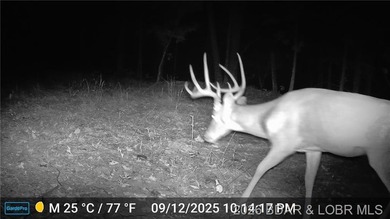10+/- Acres waiting for your hunting or camping adventures! This - photo 2