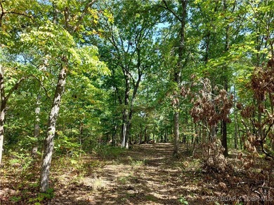 10+/- Acres waiting for your hunting or camping adventures! This - photo 3
