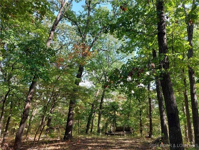 10+/- Acres waiting for your hunting or camping adventures! This - photo 5