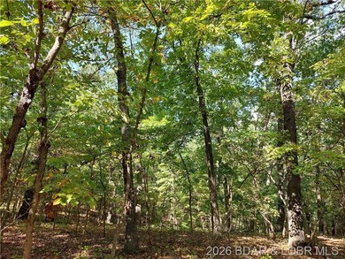 10+/- Acres waiting for your hunting or camping adventures! This - photo 5