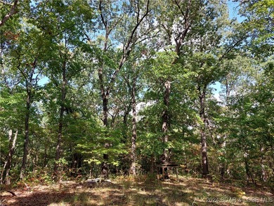 10+/- Acres waiting for your hunting or camping adventures! This - photo 6
