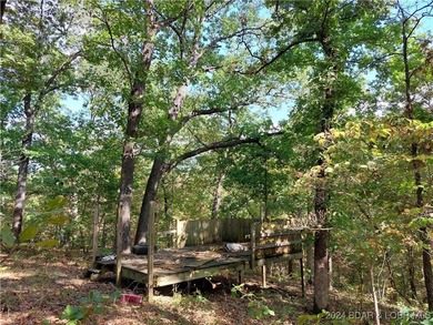 10+/- Acres waiting for your hunting or camping adventures! This - photo 7