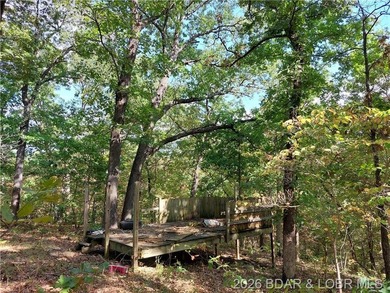 10+/- Acres waiting for your hunting or camping adventures! This - photo 7