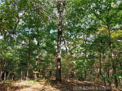 10+/- Acres waiting for your hunting or camping adventures! This - photo 8