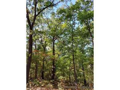 10+/- Acres waiting for your hunting or camping adventures! This - photo 9