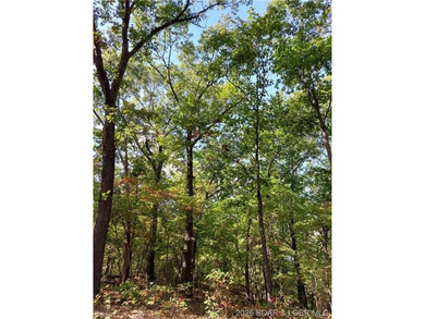 10+/- Acres waiting for your hunting or camping adventures! This - photo 9