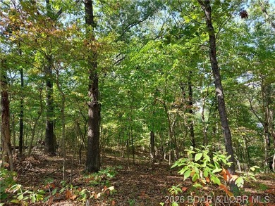 10+/- Acres waiting for your hunting or camping adventures! This - photo 10